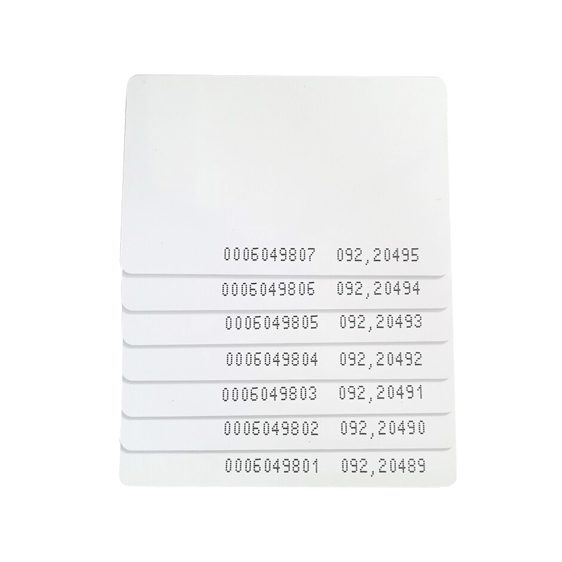 125KHz EM4100/ EM4200 PVC RFID Plain Card LF Blank Card