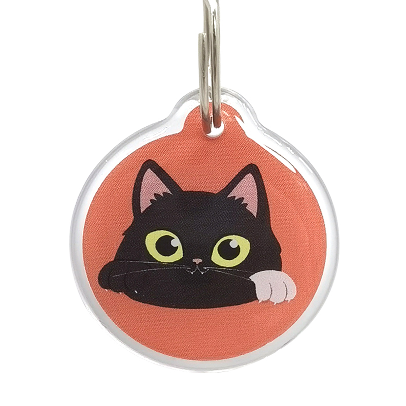 NFC Programmable NFC Pet Dog Cat Epoxy Tag