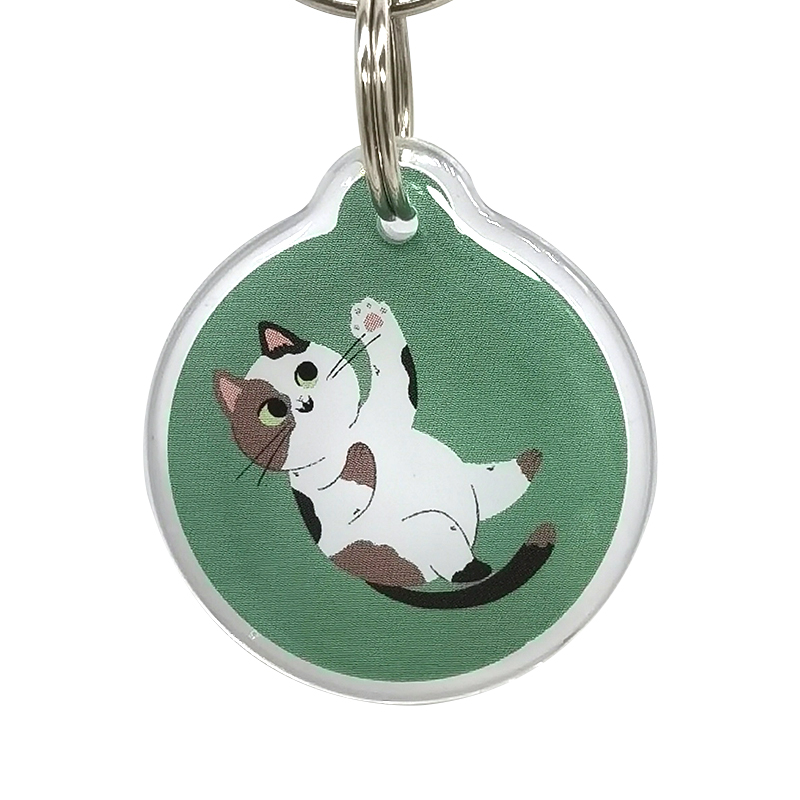 NFC Programmable NFC Pet Dog Cat Epoxy Tag