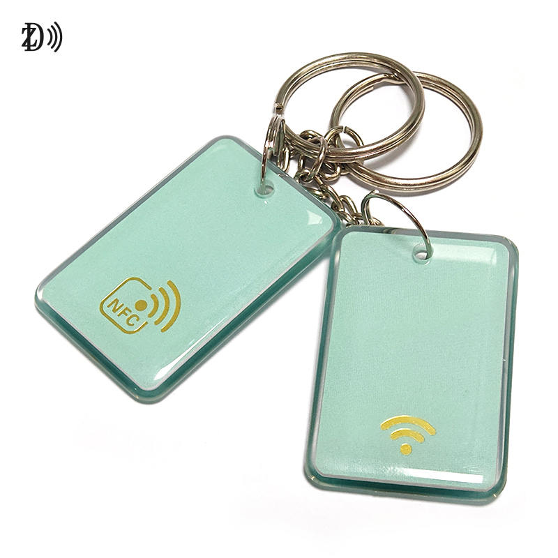 Custom Hologram LOGO Epoxy Keyfob